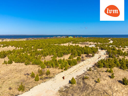 Saaremaa vald Suure-Rootsi, 5935 m²
