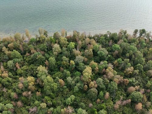Saaremaa vald Torgu-Mõisaküla 17, 1.2 ha