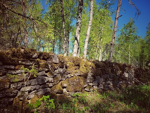 Muhu vald Lepiku, 1.3 ha