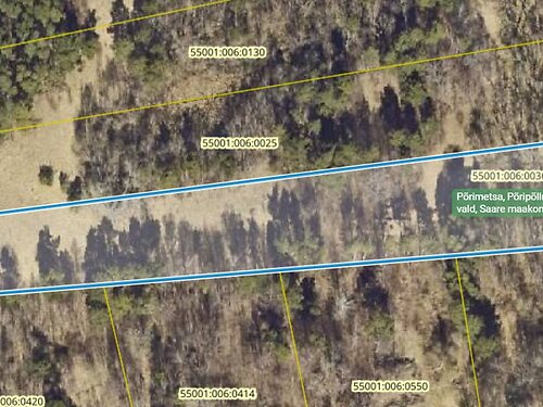 Saaremaa vald Orissaare, 1.45 ha