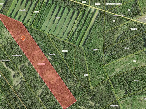 Saaremaa vald Pamma, 14.67 ha