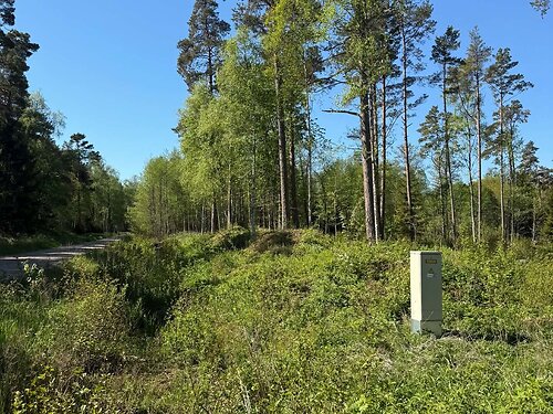 Saaremaa vald Salme, 9055 m²