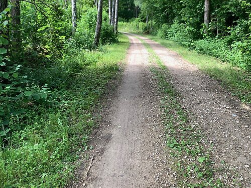 Saaremaa vald Pamma, 2.51 ha