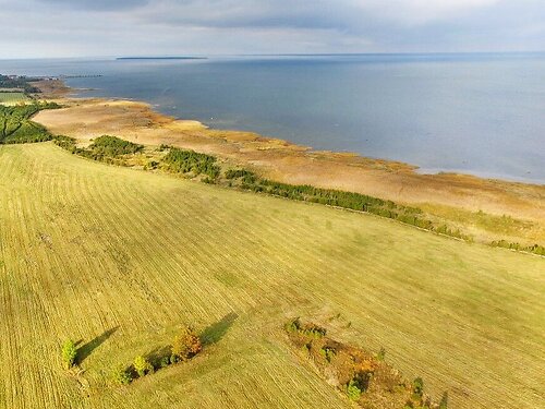 Muhu vald Võiküla, 29.26 ha