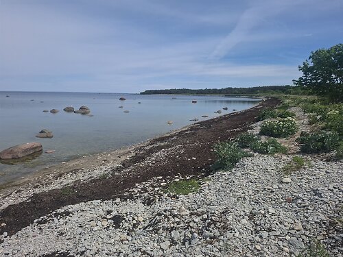 Saaremaa vald Panga, 1.73 ha