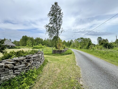 Saaremaa vald Mätasselja Liiva, 3.12 ha