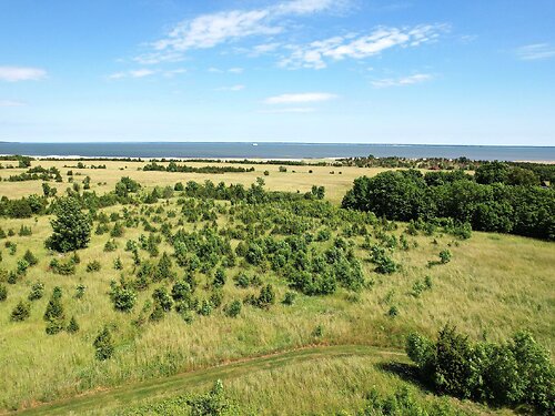 Muhu vald Võiküla, 1.18 ha