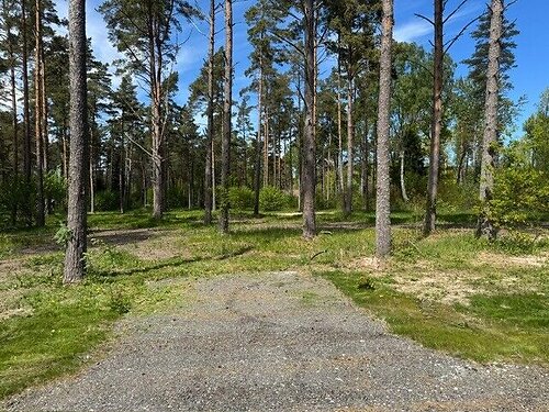 Saaremaa vald Mändjala 1, 5257 m²