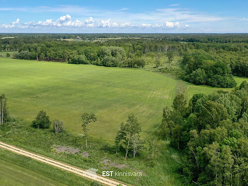 Saaremaa vald Laimjala, 7.33 ha