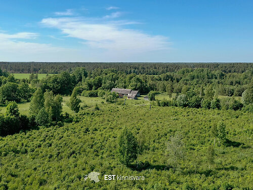 Saaremaa vald Pihtla, 1. korrus, 1 korrust, 90 m²