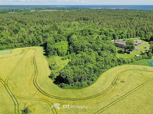 Saaremaa vald Valjala-Nurme, 1.2 ha
