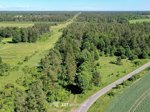 Saaremaa vald Valjala-Nurme, 1.59 ha