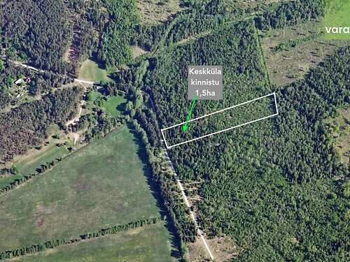 Saaremaa vald Leisi küla, 1.59 ha