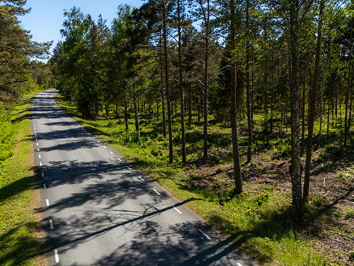 Muhu vald Rinsi, 1.26 ha