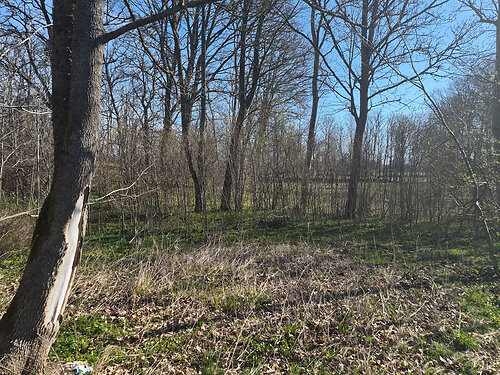 Saaremaa vald Viira, 2.85 ha