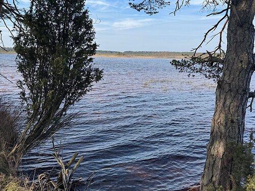Saaremaa vald Järise, 16.05 ha