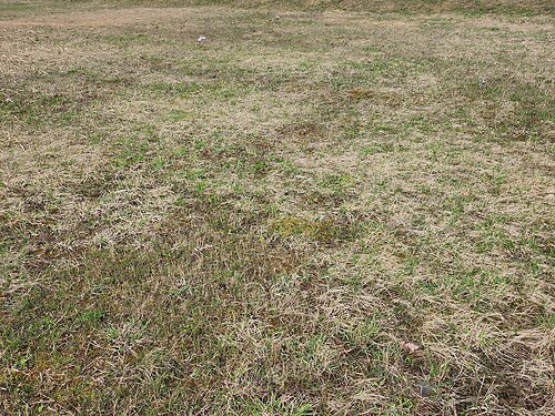 Saaremaa vald Kudjape 2, 9409 m²