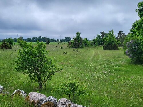 Saaremaa vald Lümanda 2, 1.3 ha