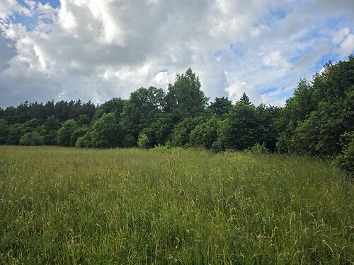 Muhu vald Lalli, 1.2 ha