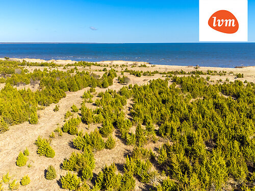 Saaremaa vald Suure-Rootsi, 5542 m²