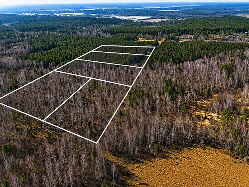 Saaremaa vald Orissaare, 1 ha