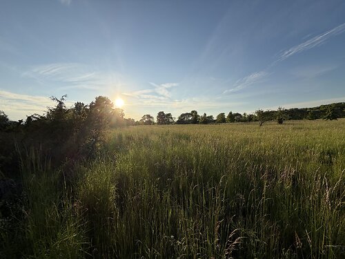 Saaremaa vald Torgu-Mõisaküla, 1.89 ha