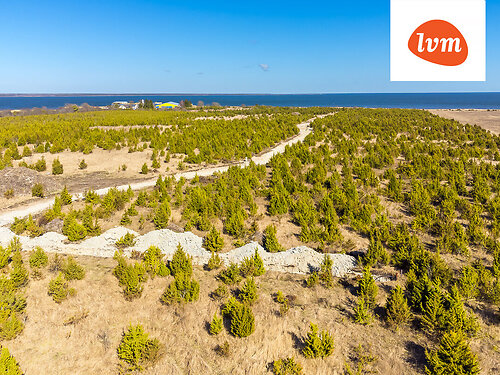 Saaremaa vald Suure-Rootsi, 5220 m²