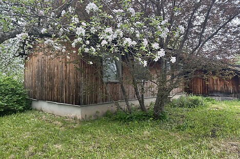 Kuslapuu tee 6, Võrumõisa